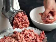 Equipamentos para Açougue e Processamento em Santa Terezinha